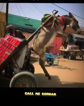 min wust new yegebawut #ethiomeme #ethiopianmeme #habeshameme #callmegondar 