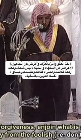 القرآن ليس مجرد آيات تتلى وأصوات جميلة نسمعها ولكنها آيات تهذب النفس وترفع قدرك ومكانتك بين الناس. 🩶 #ماهر_المعيقلي #القران_الكريم #ماهرالمعيقلي #quran 