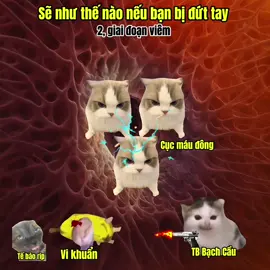 Cơ thể sẽ làm gì khi bị đứt tay #meme #cat #pes 