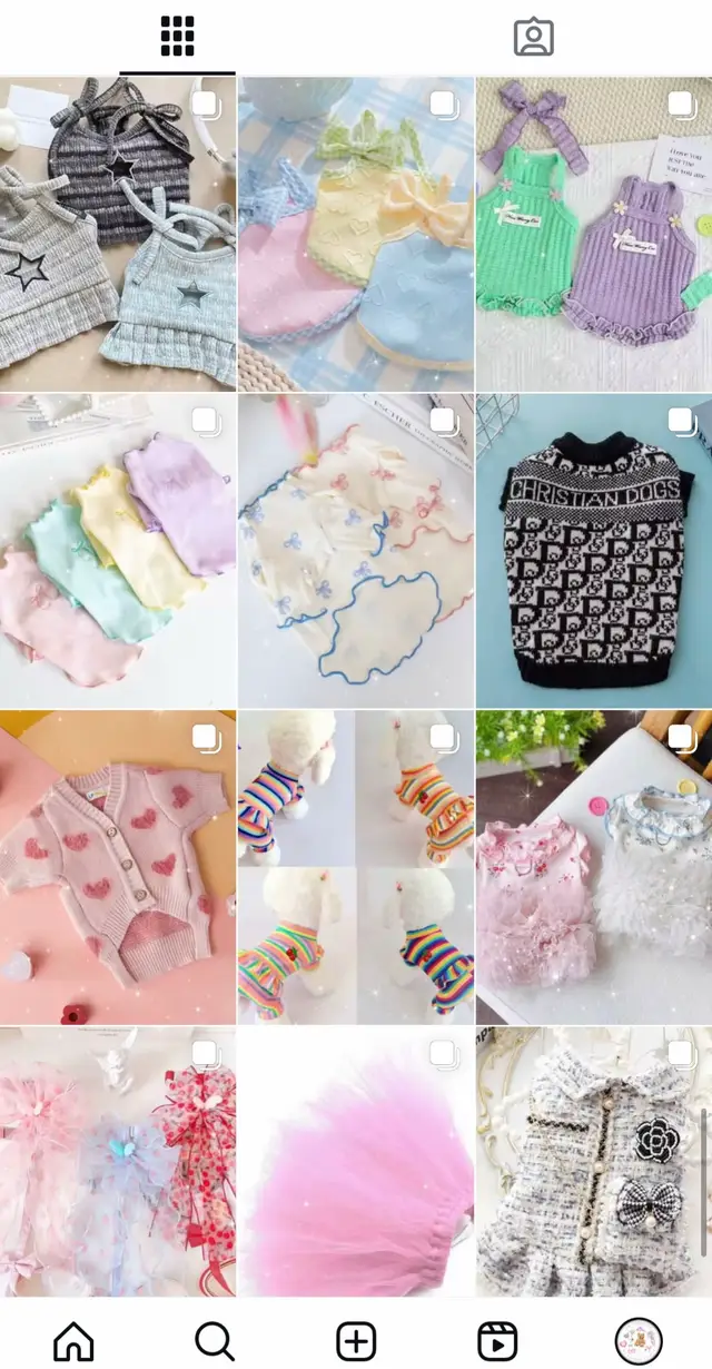 可愛い我が子のためにお洋服の買い付けを始めました🛍️🐶🩷 お手頃過ぎる価格でかわいいを皆様にもシェア🫶🐶🎀 始めたてホヤホヤなので一緒に盛り上げてくれる#ワンバサダー　様も絶賛募集中❣️ よろしくお願い致します🫧✨ #SWAnkRouge #スワンクルージュ #犬服ブランド #犬服 #韓国犬服 #海外買付  #ドッグウェア #プチプラ犬服 #かわいい犬服  #犬のいる暮らし #わんこ #ふわもこ #いぬすたぐらむ #おしゃれわんこ 