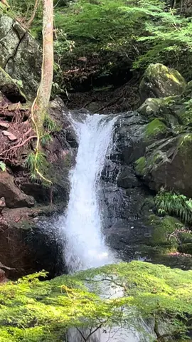 Hidden in the heart of Gunma 🍃 #fudofalls #midori#fyp #loveinnature #naturesounds 