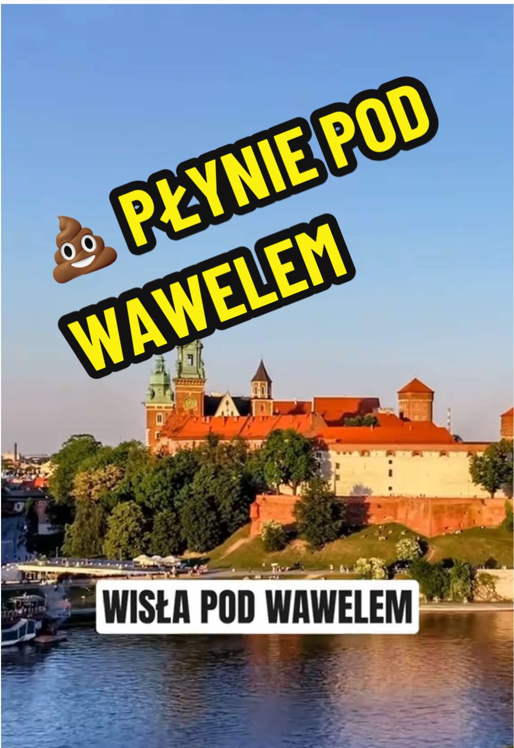 💩 płynie pod Wawelem. #zdrowie #wędkarz #💧 #woda #rzeka #historia #Wawel 