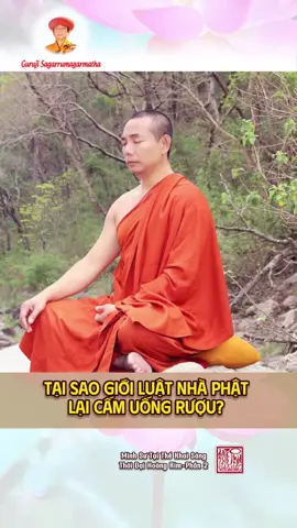 TẠI SAO GIỚI LUẬT NHÀ PHẬT LẠI CẤM UỐNG RƯỢU? Mời Quý vị hữu duyên lắng nghe lời pháp cam lồ của Vị Minh Sư Tại Thế (Kênh được duy trì bởi các Học trò của Ngài) #PHAT #PHATTAITHE #PHATSONG #MINHSURUMA #GUGUjUISAGARRUMAGARMATHA #tuhanh #phat #thien 