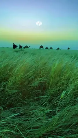 #jawi_bila🌊❤️🌴 #casumada_puntland🇸🇱 #feralvideo #coppy link k#fybシ #rebost @𝙈𝙪𝙨𝙘𝙖𝙗 𝙚𝙙𝙞𝙩𝙤𝙧 @@Cali_baadiye🇸🇴🤪 @Ahmad Qurkavic @isse isse @Dhaqan dhawr #jawi_bila🌊❤️🌴💏😘🔐🤍🥀🥺❤️💍👀🙈😔😢💘🥺❤️💍👑🔐🔥🌍✨🧸🖇 #garwe #mohamed 