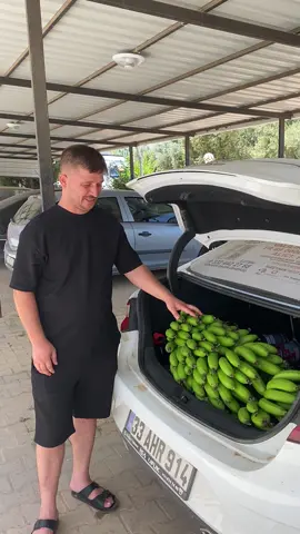 Evladımın bu zorlu mücadelesinde en baştan itibaren desteğini esirgemeyen komşum bir dal bir hayat projesine destek olmak için serasının en güzel muz dalını kesmiş evladıma bağışladı Allah razı olsun Rabbim seralarınıza bereket versin inşallah afetlerden belalardan korusun siz bir dal bir hayat derseniz evladım Allah’ın izniyle sağlığına kavuşacak inşallah 🙏 #fypage 