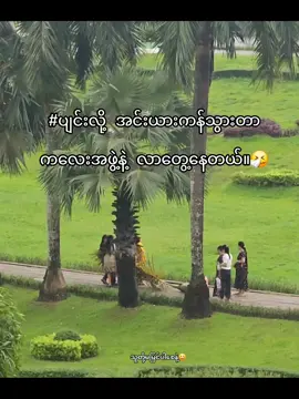 သူတို့ကို ကြည့်ပီးရီနေရတယ်🤧#foryoupage #fyp #views #tiktok 