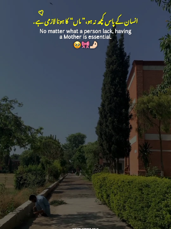 Maa 🎀🤌🏻 || Mother's Love 💓🤌🏻 || Mom 💗✨ || Status video ✨ #maa #mom #fyp  #Love #statusvideo 