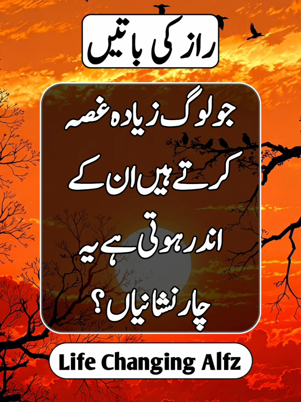 Physiological Quotes About A Person Who Gets Angery Alot. Life Changing Words In Urdu 🌟💯😊 #trending #Foryou #100k #fypシ #tiktok #motivation 