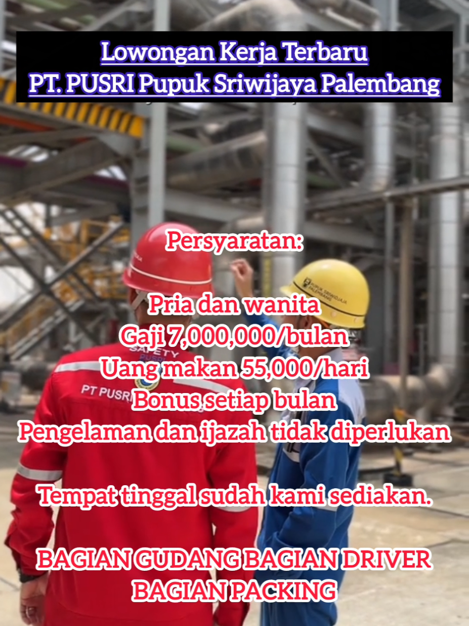 Butuh pekerja baru #fyp #foryou #foryoupage #loker #lowongankerja #pusri_palembang #lokerterbaru #lokersumut #viral #pyfツ #pyf #pekerjakeras 