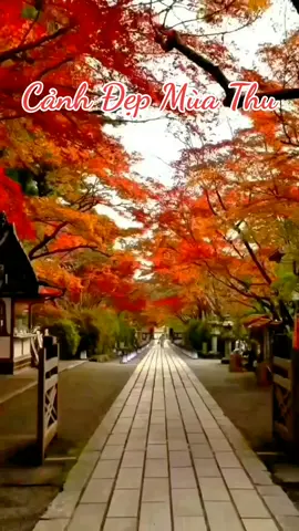 Lê hữu hạnh #Riview Cảnh Quan Thiên Nhiên #xuhuong #canhdepthiennhien#videogiaitri2025#Beautiful #lenxuhuong 