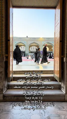 إنّمَا رُوحاً رأتْكَ أهلاً للحُبِّ والغرامِ  فَـ هَامَتْ بِكَ وحَدك .. #CapCut #مالي_خلق_احط_هاشتاقات #اكسبلورexplore #الاربعين #مشهد #كربلاء#امام_رضا  