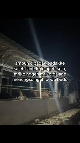 #fyp #peternakmuda #pengusahamuda #bosmuda #fypage 