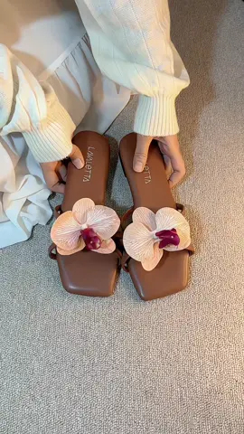 coklat emang selalu jadi rebutan 🤎 #sandalanggrek #orchidflatsandal #anggrek #sandalbungaanggrek #lavaletta 