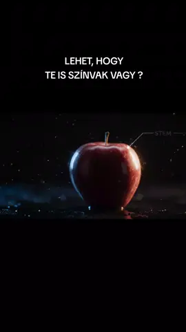 Sokan észre sem veszik 😱#azigazsaghatara #lyra 
