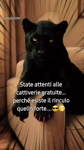 #pantera #cattiverie #esiste #rinculo😂😂😂😂😂 