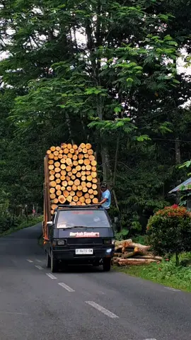 #bagaikanbungayanglayu #promomakangajian #foryou #CapCut #l300maniaindonesia #sengonbalap #