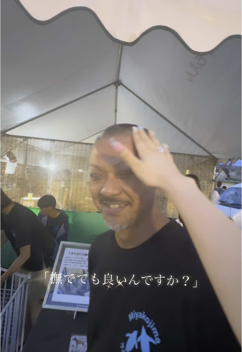 内心どつかれやんかドキドキして撫で撫でしてておもろいの