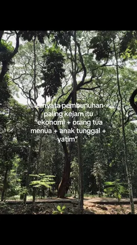 #ayah 