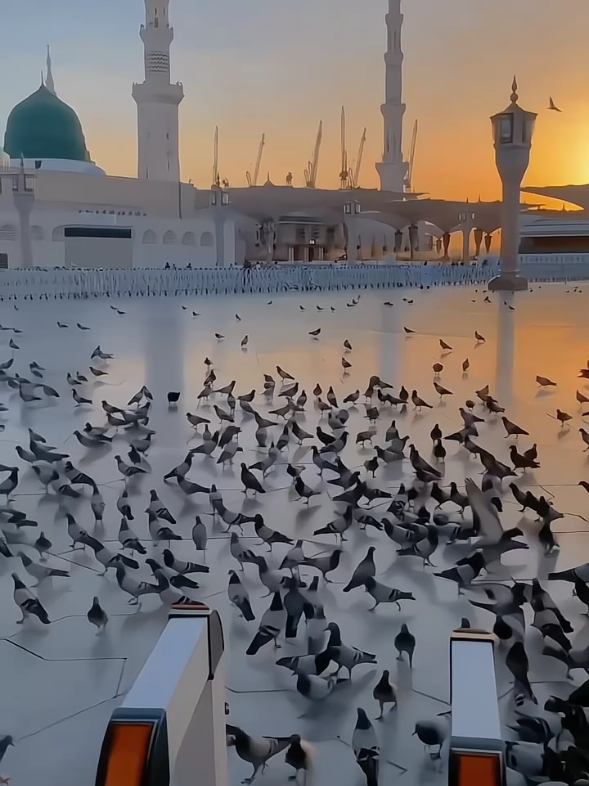 Hasbi Rabbi 🫠💕 🎧 ❤️‍🩹  . . #nasheed #viral #allah #fyp #muhammadpbuh #makkah #madinna #43706 #nasheed #darkedit #aestheticvideos  #islamicstatus 