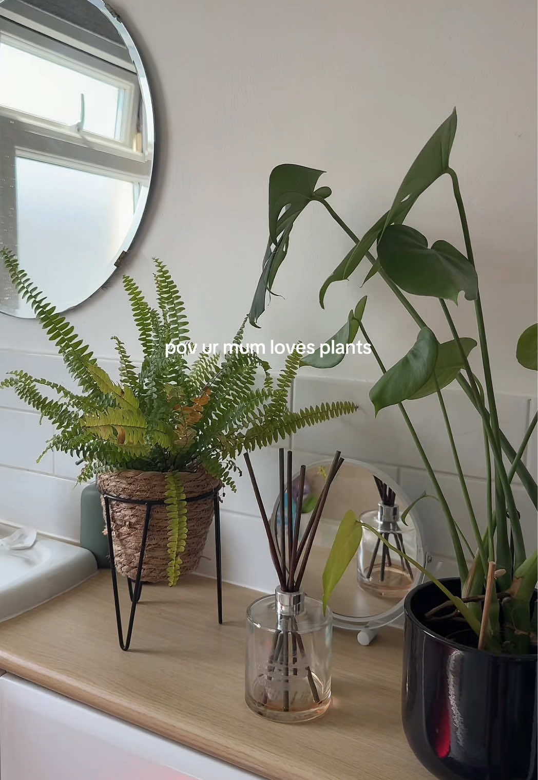 we don’t do fake plants around here x