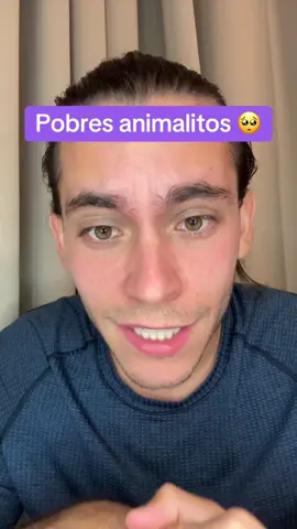 Los animalitos también sufren con las deportaciones 🥺