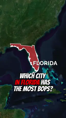 Which city in Florida has the most bops? #florida #city #bops 