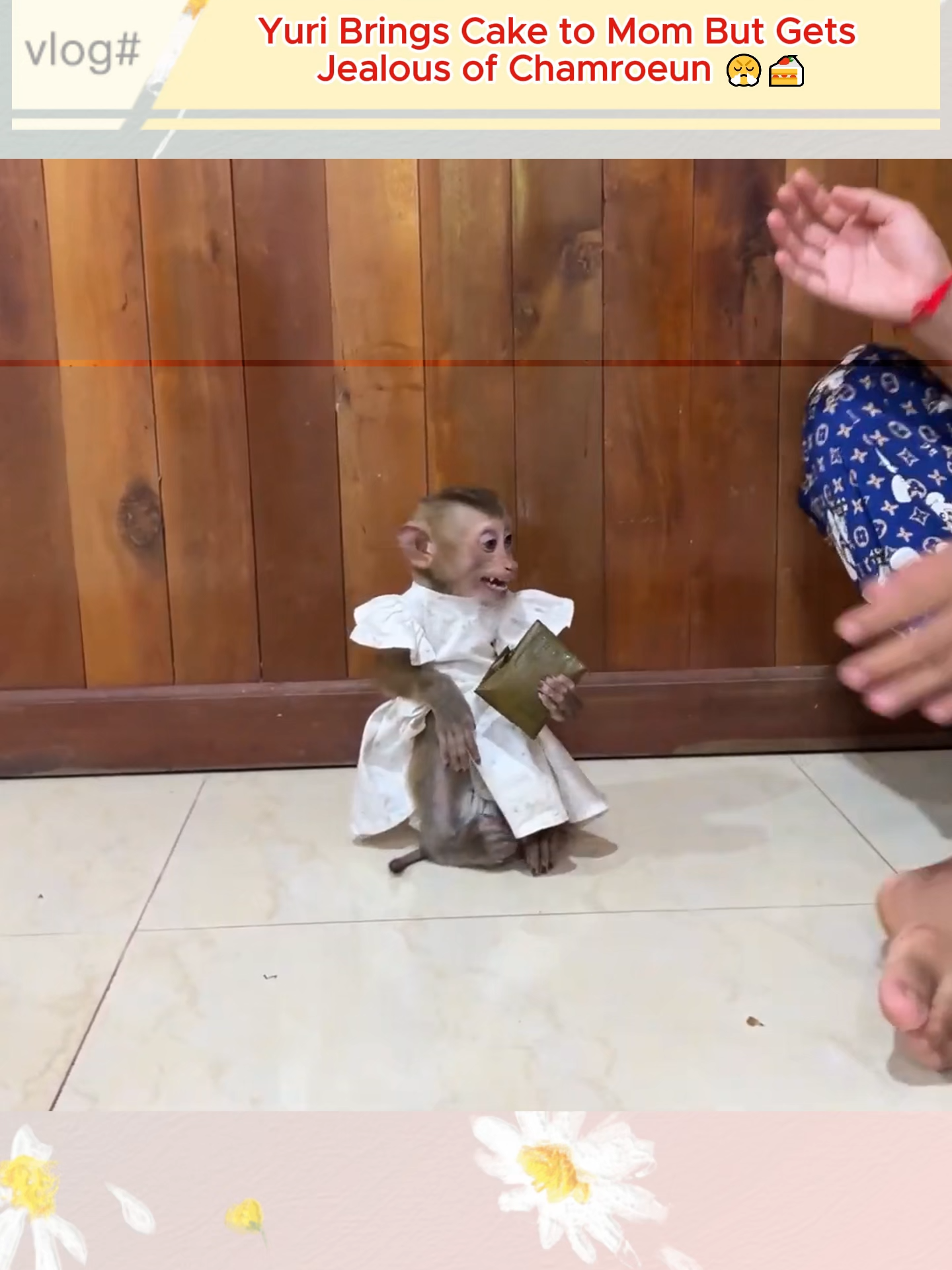 Yuri Tries to Win Mom’s Love but Chamroeun Steals the Moment 😭#Monkey #CuteMonkeys #MonkeyLife #WildlifeWednesday #AnimalLovers #PrimatesOfTikTok #FunnyMonkeys #NatureLovers #ZooAdventures #MonkeyMagic