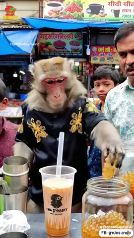 Bubble Tea Bazaar 🧋🇮🇳 #ChefMonkeyWorld 
