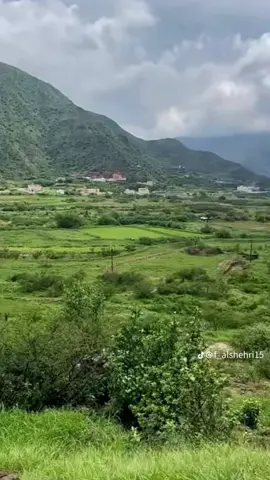 #اكسبلور 