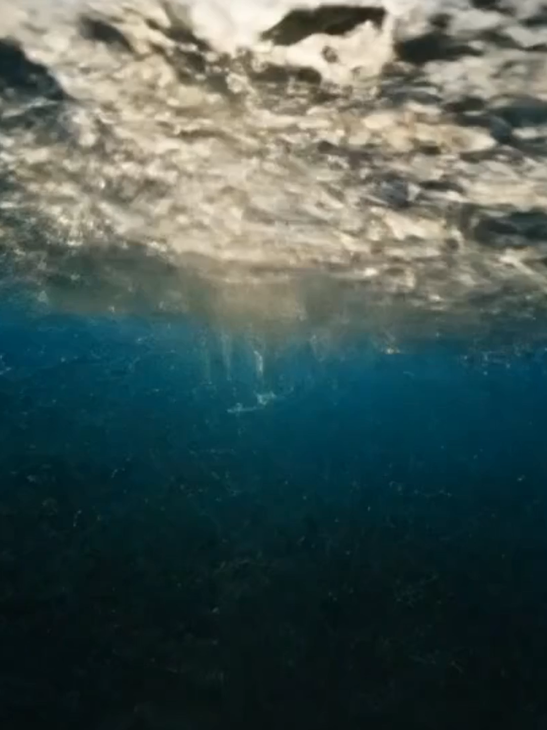#titanicrevelado #verdadessobretitanic #titanic #titanicmovie