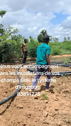 #CultureTomates #Aménagement #Installations #Fertirigations #MaliAgricultures@Sènè kelaw bilasirali sô @Influenceurs Africains @Débrouillard(e) 2.1 
