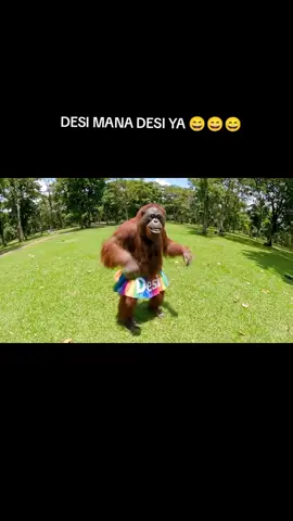 @@masenal story  desi lagi joget, desi mama desi 😅 #komedi #Vlog #orangutan #vo #vo3 
