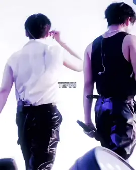pitbull terrier #minsung #leeknow #hanjisung #leeknowedit #jisungedit 