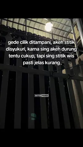 #tarling_indramayu_cirebon #baturparek 