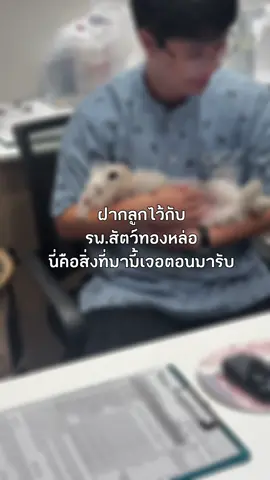 ขออนุญาตพี่ๆสาขาอีสวิลล์นะคะ ขออวยยศเลย🥺💖 มามี้อยากกิน Sushiro เลยขอฝากน้องไว้ครึ่งชั่วโมง ตอนกลับมารับคือ ... อึ้งง แง้ 💘 #tiktokสัตว์เลี้ยง #babypoly #หมาน่ารัก #schnauzer #fyp #น่ารัก @TLPH 