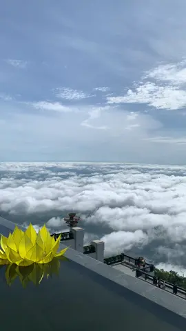 Sự may mắn của tôi thôi các bạn thì sau#tiktok #núibàđentâyninh #tayninh 