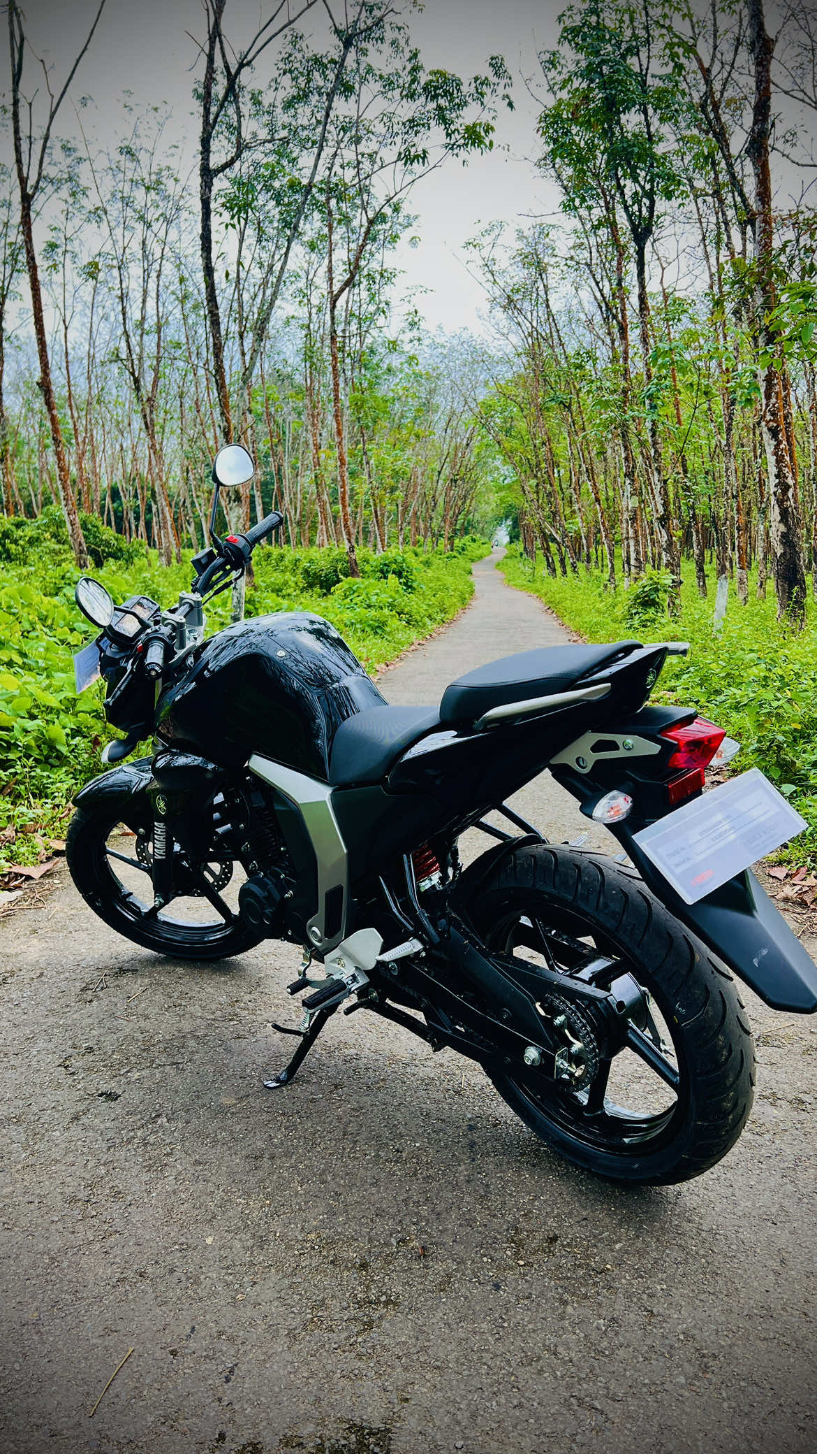 Babe 🖤🧀 #fz  #fzv2  #bike 