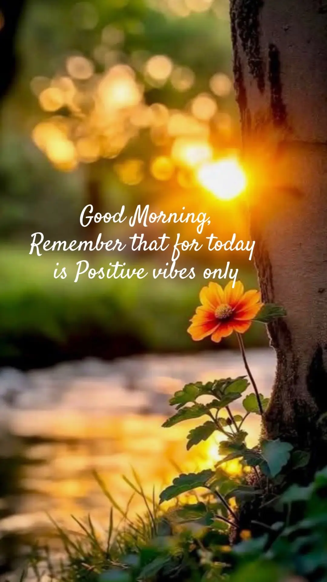 #morningvibes #iwalkbyfaith #fyp 