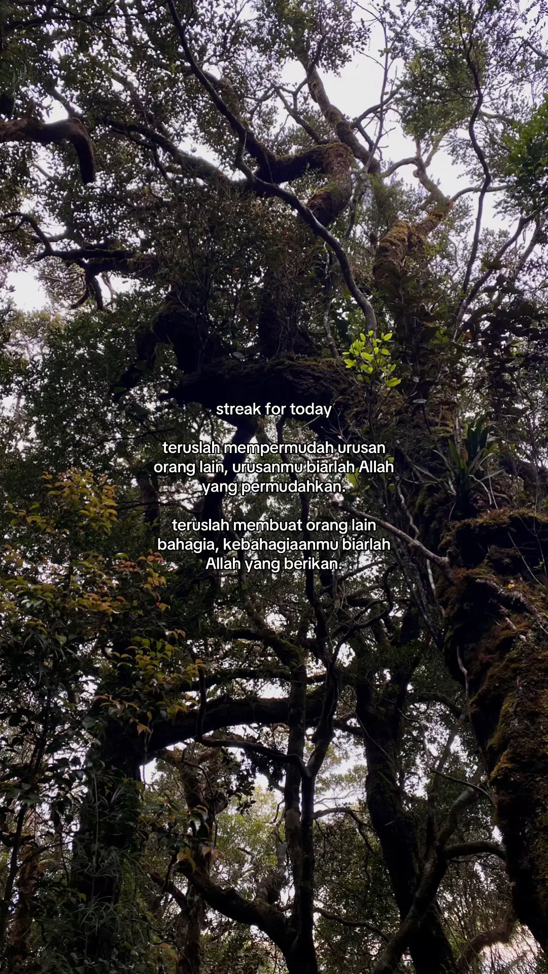 #quotes #foryoupage #fyp 