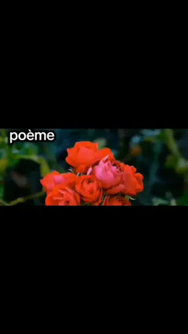 #poemesdamour #fyp 