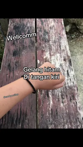 Cwkk paastitau