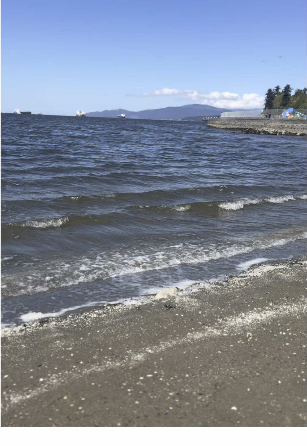 Vancouver has my heart 💜 #relaxing #ocean #calming #morning #PlacesToVisit 