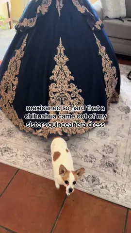 i love my culture sm #mexico🇲🇽 #mexican #quinceañera #quince #mexicana #chihuahuastiktok 