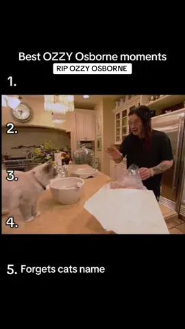 Lmao! Ozzy has always been so dam funny!! This is a great clip! RIP OZZY #ripozzy #ozzy #ozzypsbourne #funnyclips #funny 