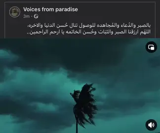 وَاللَّهُ يُحِبُّ الصَّابِرِينَ ..} #foryoupageofficiall #foryou #foryoupage #قران #قران_ارح_سمعك_وقلبك #fyp #viral #mostafaezzatii #viralvideos #قران_كريم #fyppppppppppppppppppppppp #quran #العفاسي #مشاري_العفاسي #الشيخ_مشاري_بن_راشد_العفاسي 
