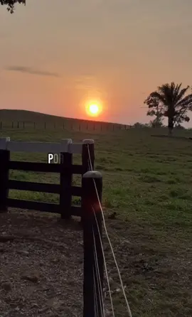 #ReynaldoArmas #porfinlavoyatener #joropodevenezuela🇻🇪 #purollano🐎 #parati ❤️🤠