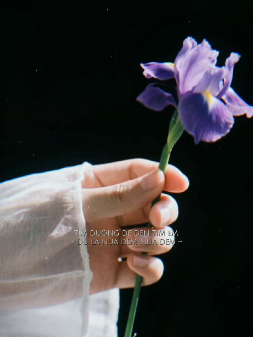 Vì em là ánh mặt trời của anh... #fallingwithyou #quanap #phapkieu #Bkmuzic #nhachaymoingay 