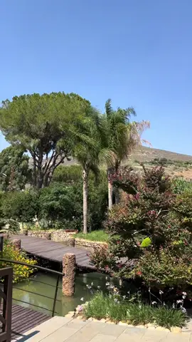 مي و في 🍃  #maiwfa #fadelshaker #food #lebanon #fypシ゚ #viral #jnoub #Summer #views 