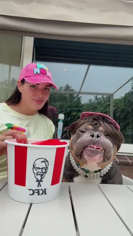 Healthy KFC Chicken tender lunch with my bestie Mr. One Toof 🍗 #fyp #foryou #foryoupage #voorjou #voorjoupagina #bundleofbullies #marenraffieodincupcake #marenenraffie #vj @CollarCrafts 
