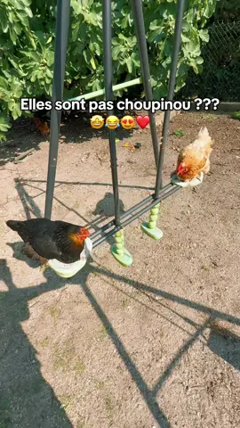 Christine et Paulette s’en balancent 🤦‍♂️😂